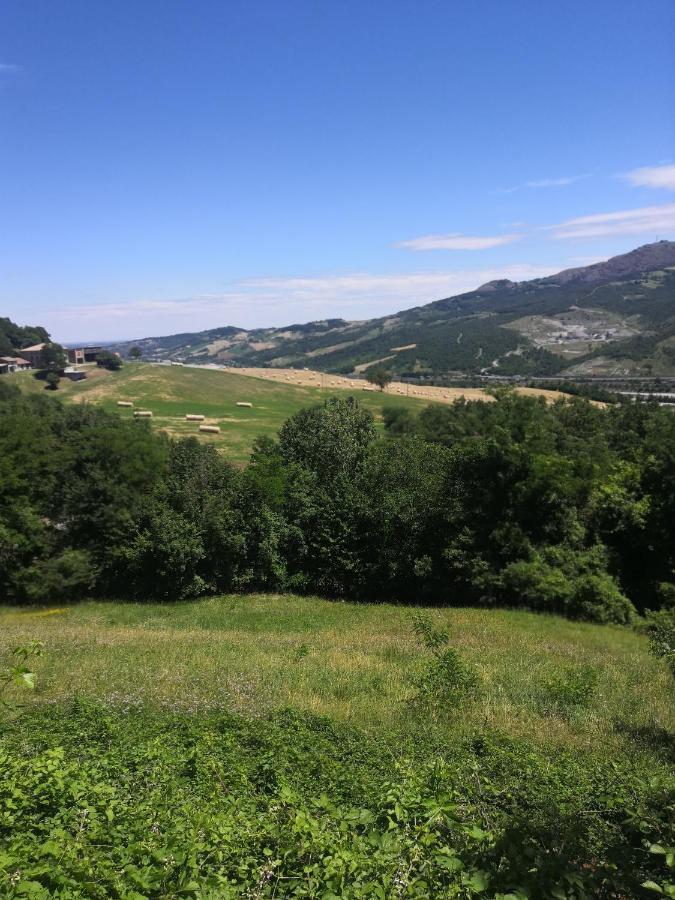 B&B Demetra Solignano Zewnętrze zdjęcie